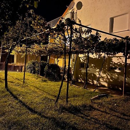 Entire Spacious Apartment With Free Parking بودغوريتْسا المظهر الخارجي الصورة